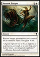 Narrow Escape - Zendikar (Common) [ZEN-27]