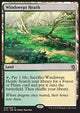 Windswept Heath - Khans of Tarkir (Rare) [KTK-248]