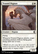 Trusted Pegasus - Ravnica: Cluedo Edition (Common) [CLU-77]