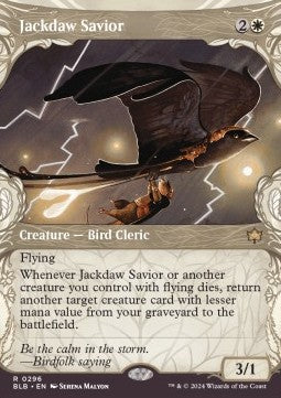 Jackdaw Savior